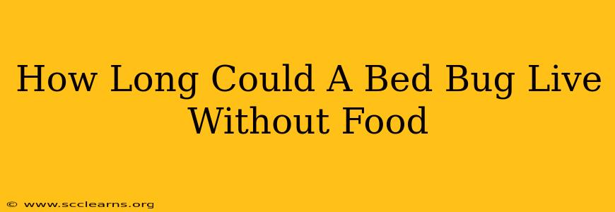 How Long Could A Bed Bug Live Without Food