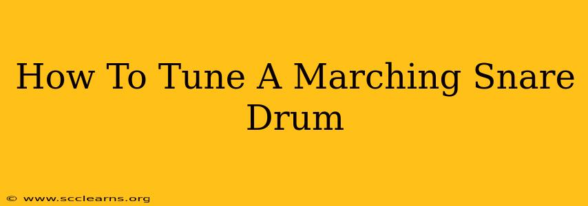 How To Tune A Marching Snare Drum